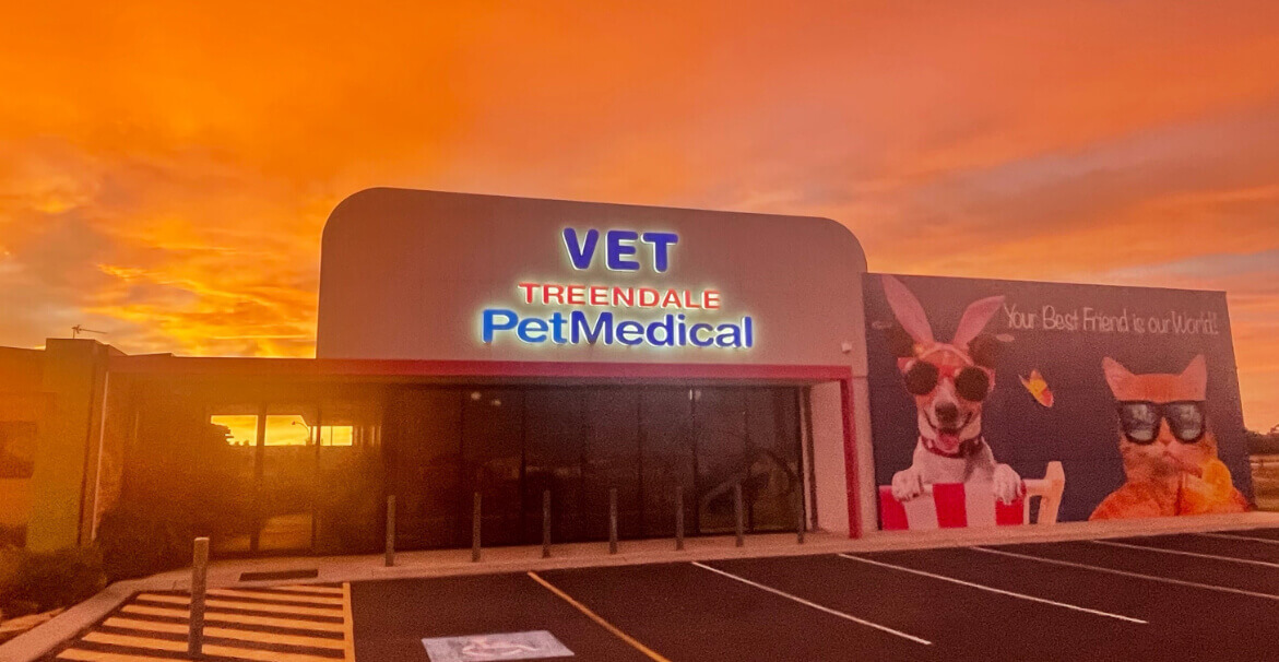 country veterinary clinic