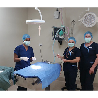 vet operating theatres